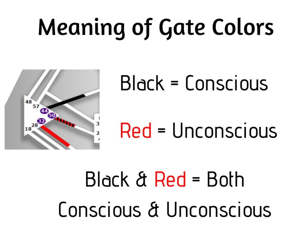Meaning of the red and black in human design and meaning of the red and black you see in your bodygrAPh. The Red is what is unconscious to you and part of your body design. The back is part of your consciousness design, 