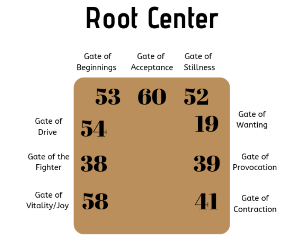 The Root Center is a Pressure Center that moves energy to an awareness center. (Splenic Center, the Sacral Center, or the Emotional Center)