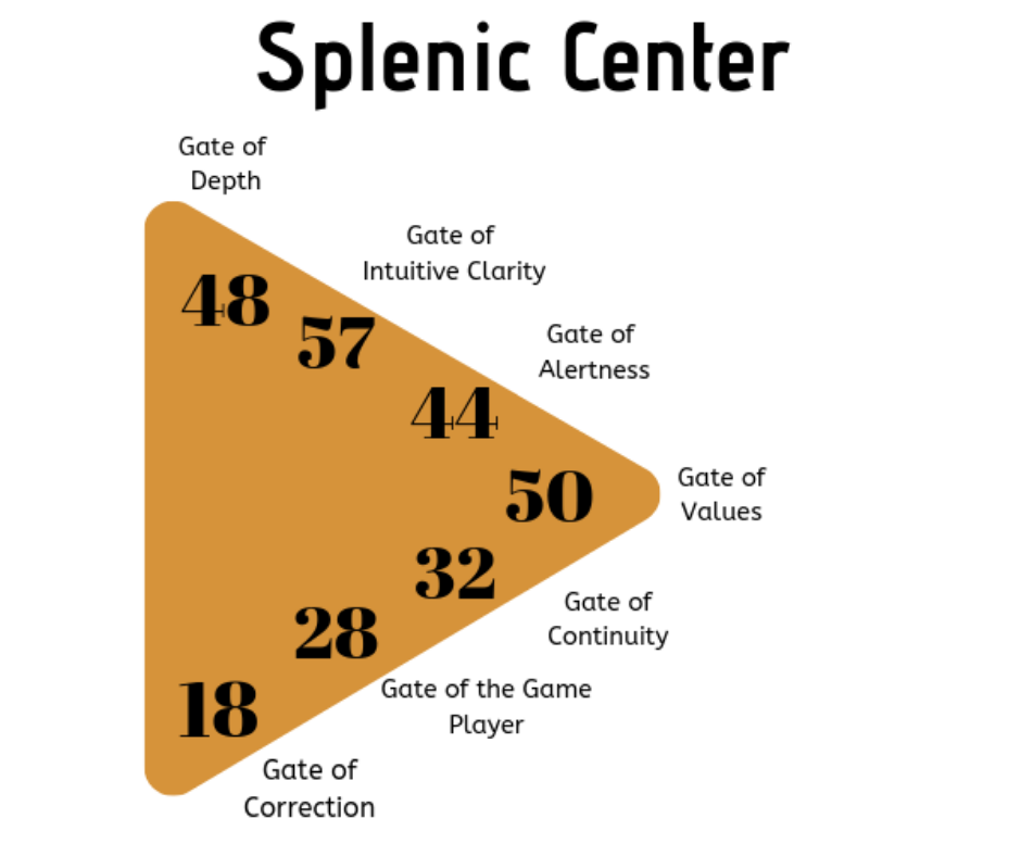 picture of the splenic center and the gates
