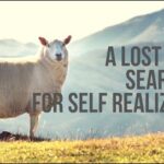 A Lost Sheep Searching For Self-Realization | Fable Story