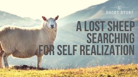 A Lost Sheep Searching For Self-Realization | Video & Fable Story