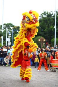 a person in yellow dragon costume doing a dragon dance. Chinese New Year and animals

Chinese new year and lunar new year

chinese lunar new year


chinese new year and zodiac
chinese new year and red envelope

chinese new year and  oranges
.
chinese new year and dragons

How Chinese New Year is Celebrated
